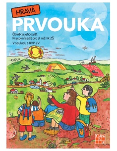 Obrázek