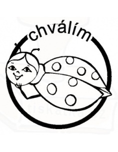 Obrázek