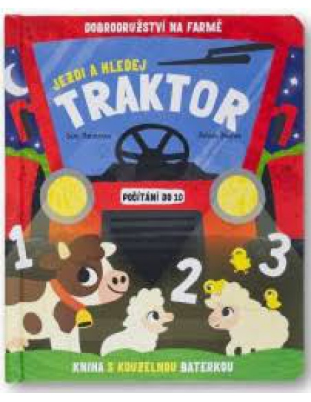 Obrázek