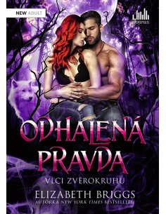 Obrázek