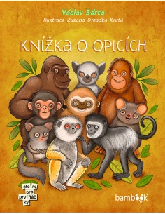 Obrázek