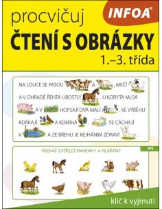 Obrázek
