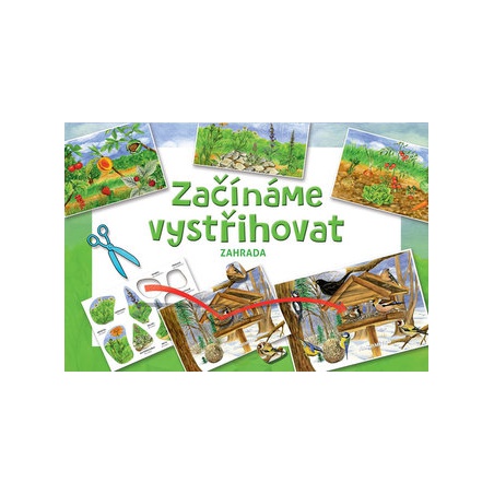 Obrázek