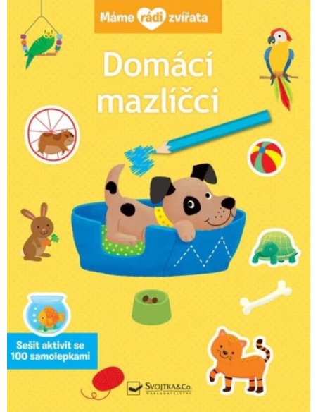 Obrázek