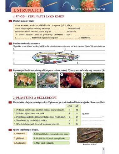Obrázek (1) Obrázek (1)