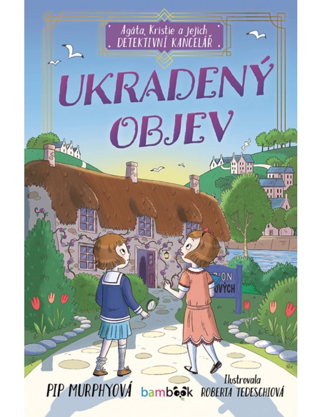 Obrázek