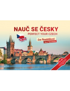 Obrázek