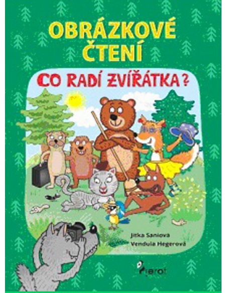 Obrázek
