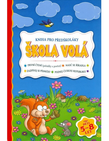 Obrázek