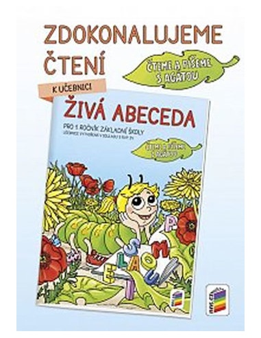 Obrázek