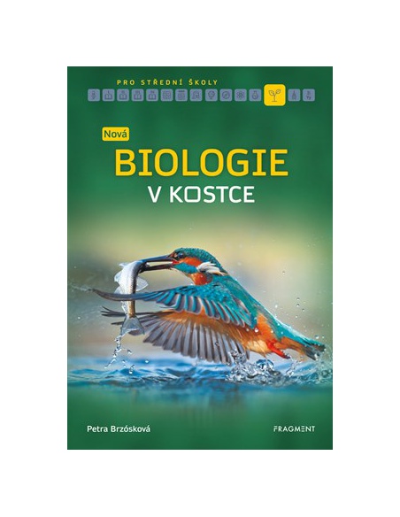 Obrázek (27268)