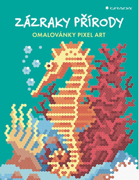 Obrázek