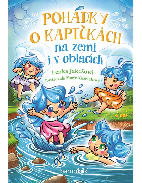 Obrázek