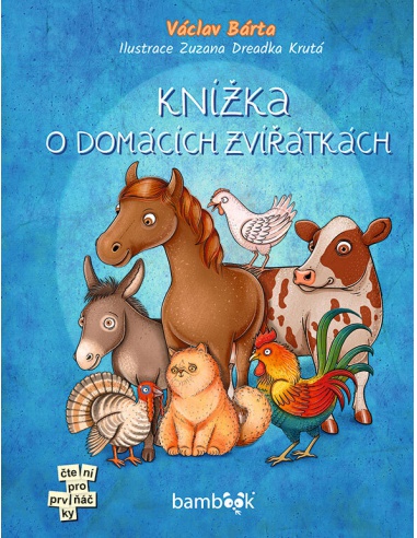 Obrázek