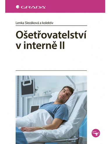 Obrázek