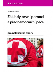 Obrázek