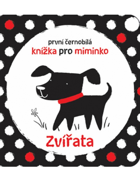 Obrázek