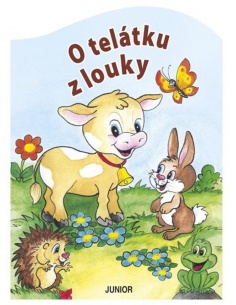 Obrázek