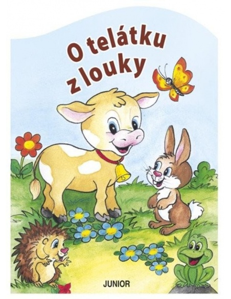 Obrázek
