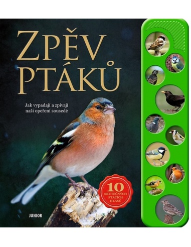 Obrázek