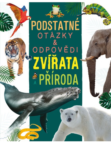 Obrázek