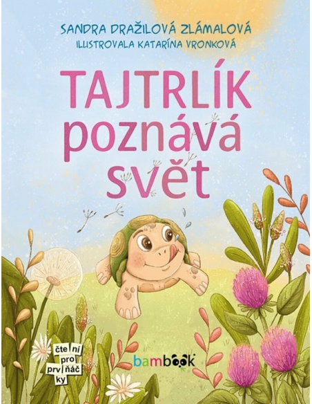 Obrázek