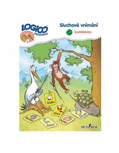 Sluchové vnímání - Souhláskov  - učebnice do školy