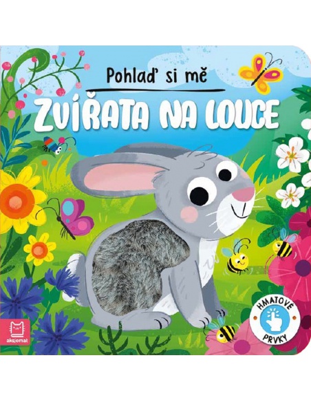 Obrázek