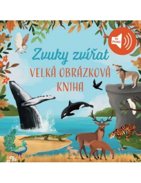 Obrázek