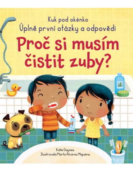 Obrázek