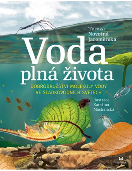 Obrázek