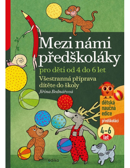 Obrázek