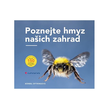 Obrázek