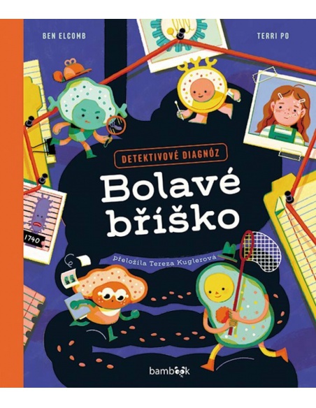 Obrázek