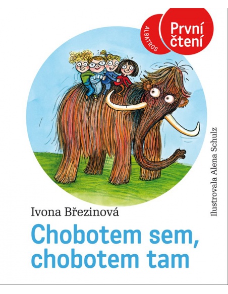 Obrázek