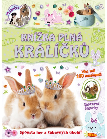 Obrázek