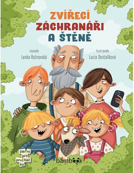 Obrázek
