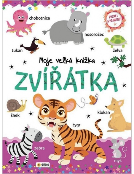 Obrázek