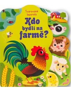 Obrázek