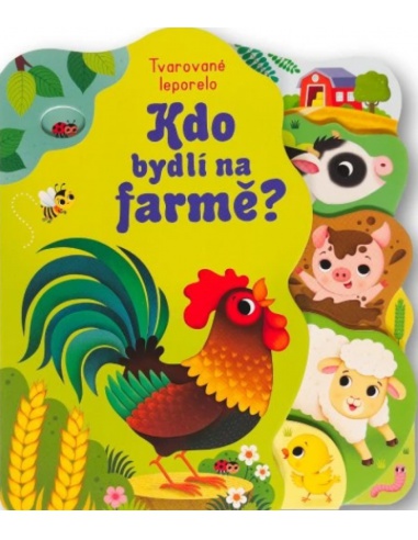 Obrázek