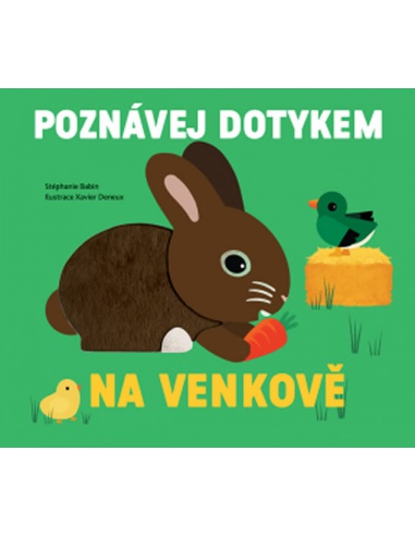 Obrázek