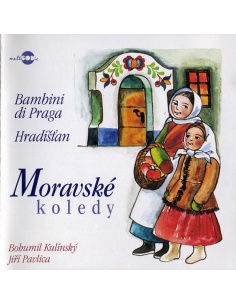 Obrázek