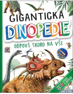 Obrázek
