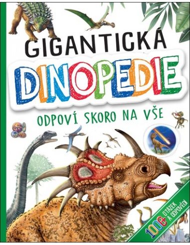 Obrázek