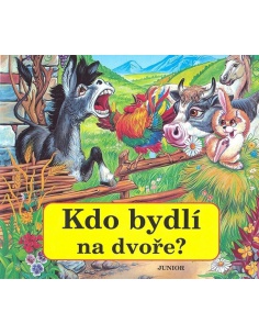 Obrázek