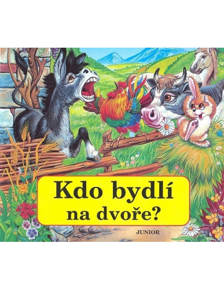 Obrázek