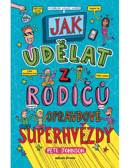 Obrázek