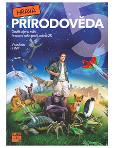 Obrázek