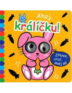 Obrázek