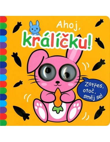 Obrázek